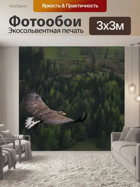 Фотообои Орел