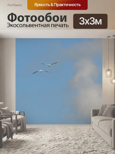 Фотообои Fly