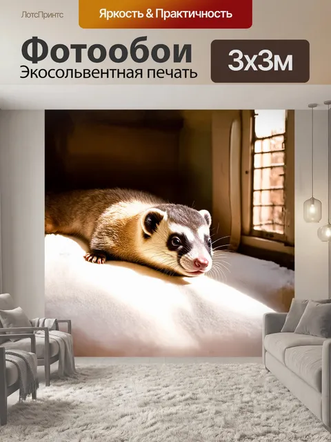 Фотообои хорек, глубоко погруженный в сон, нежно вытянулся на белом листе, на который мягкий свет падает сквозь окно