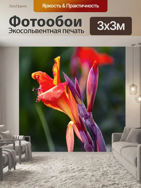 Фотообои Красный
