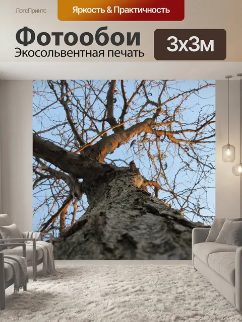 Фотообои Дерево Перспектива 9