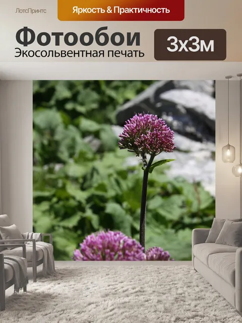 Фотообои Розовый