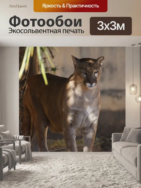 Фотообои Feline
