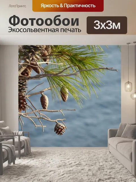 Фотообои Сосна