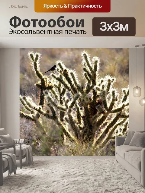 Фотообои Мерцание