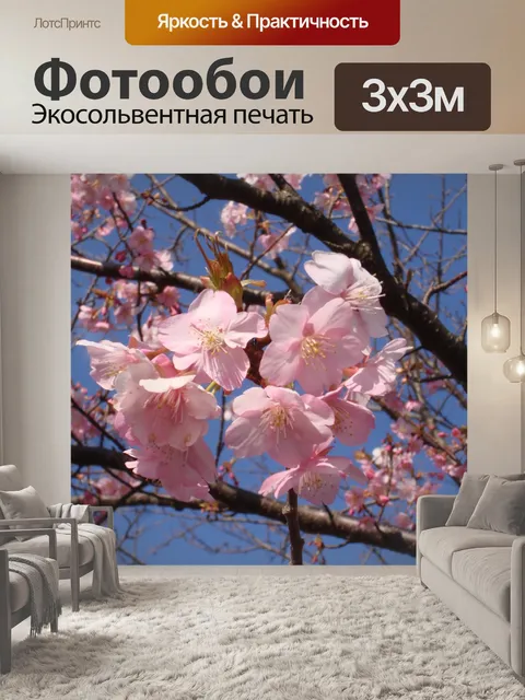 Фотообои Сакура