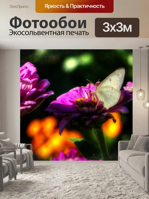 Фотообои Белая бабочка