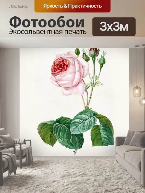 Фотообои Роза винтаж модерн старый
