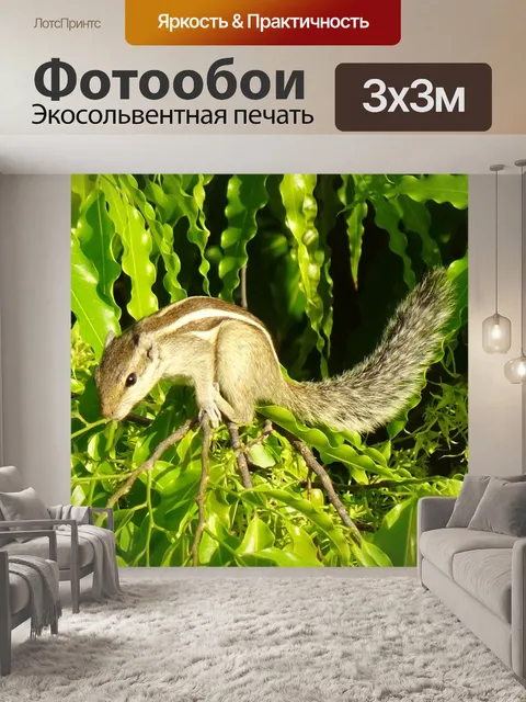 Фотообои Белка