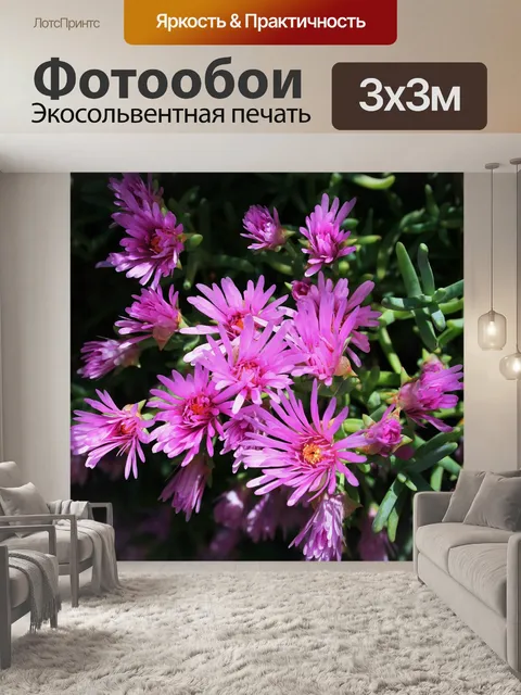 Фотообои цветения розовые vygies