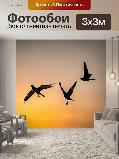Фотообои птицы, пересекающие закатное небо, яркие цвета
