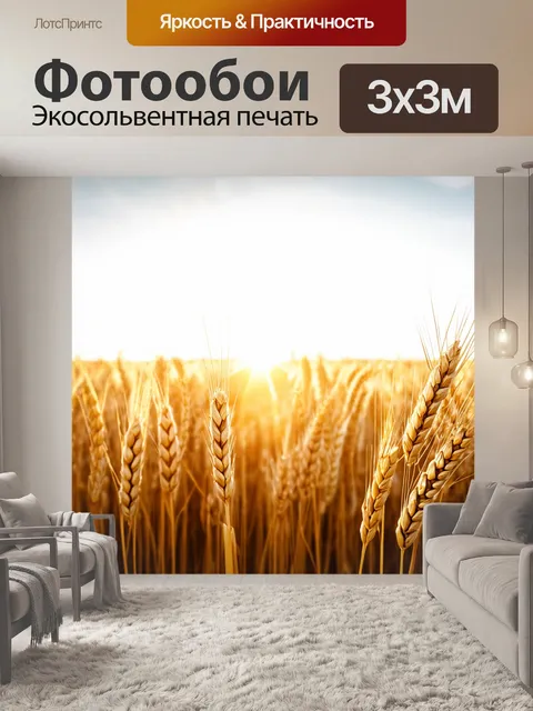 Фотообои с полем зрелой пшеницы, золотистые колоски на ветру, закатное солнце, отражающееся в них