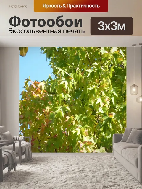Фотообои Голубое небо растительность листва