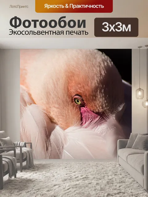 Фотообои Фламинго
