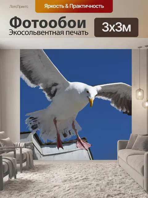 Фотообои посадка чайки