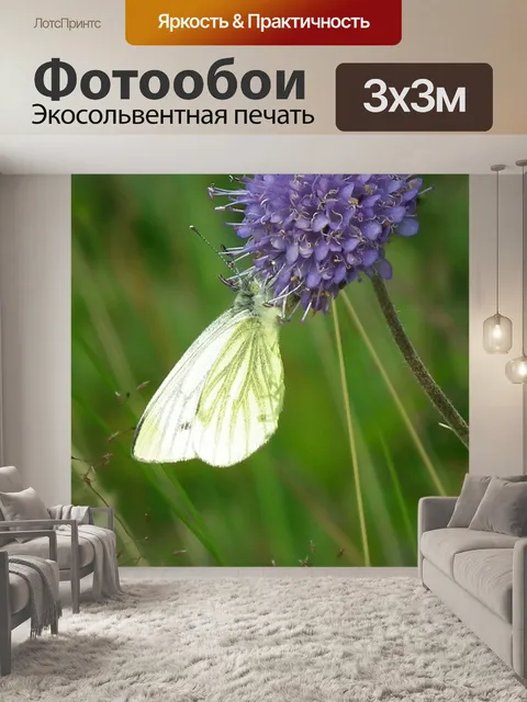 Фотообои Зеленый прожилками белой бабочки