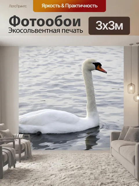 Фотообои Лебедь озера