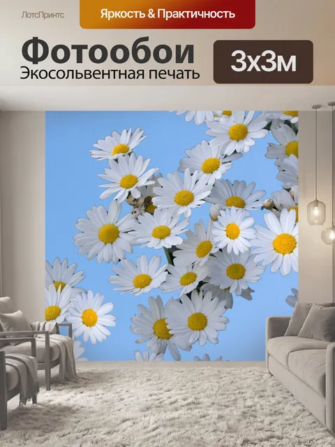 Фотообои Дэйзи цветы