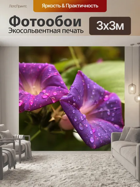 Фотообои Цветы