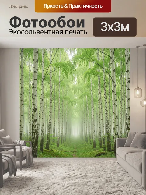 Фотообои Туманный березовый лес