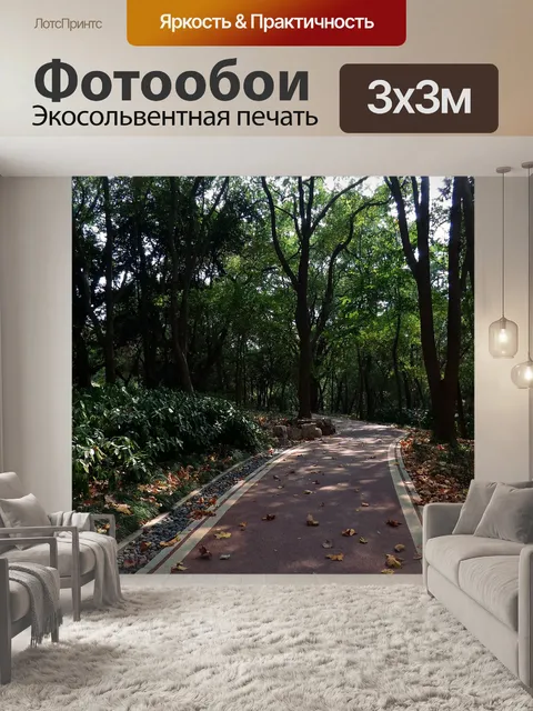 Фотообои Горный лес
