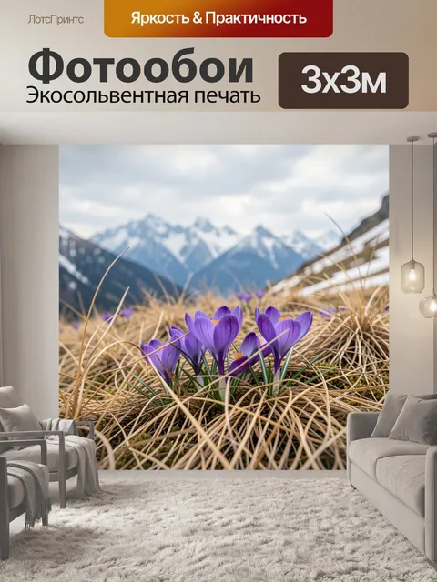 Фотообои Фиолетовые крокусы в горах