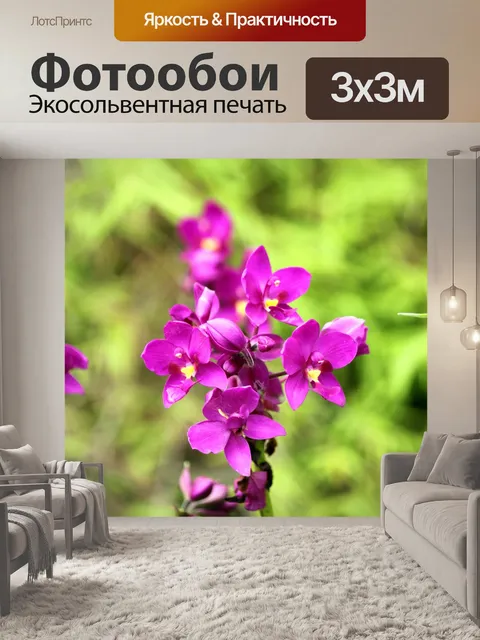 Фотообои Blossom красным цветком орхидеи