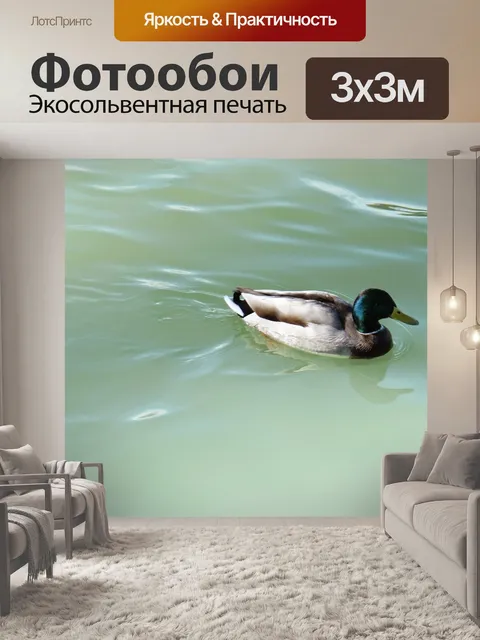 Фотообои Утка