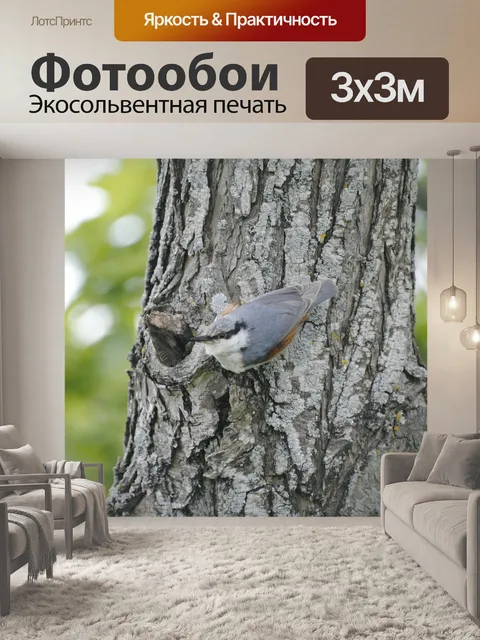 Фотообои Лианы деревьев