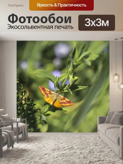 Фотообои Бабочка