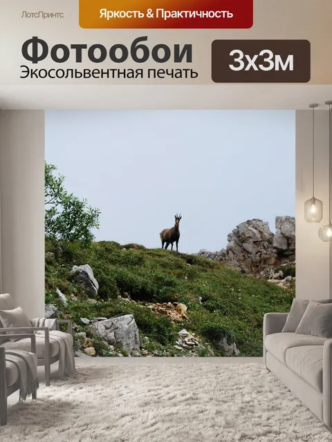 Фотообои Серна
