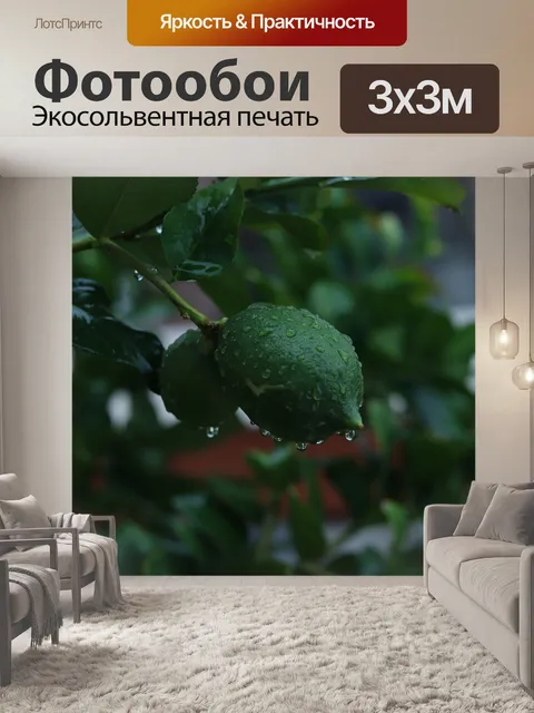 Фотообои Дождь