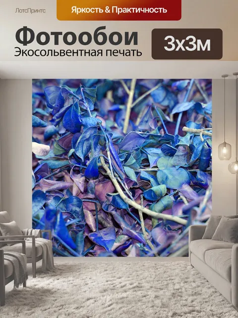 Фотообои Сухие листья в голубой