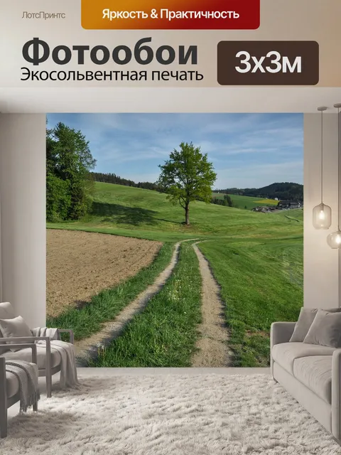 Фотообои Дорожка