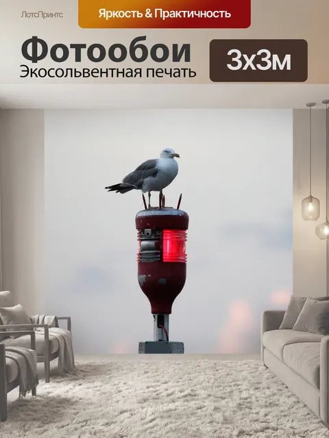 Фотообои Чайка