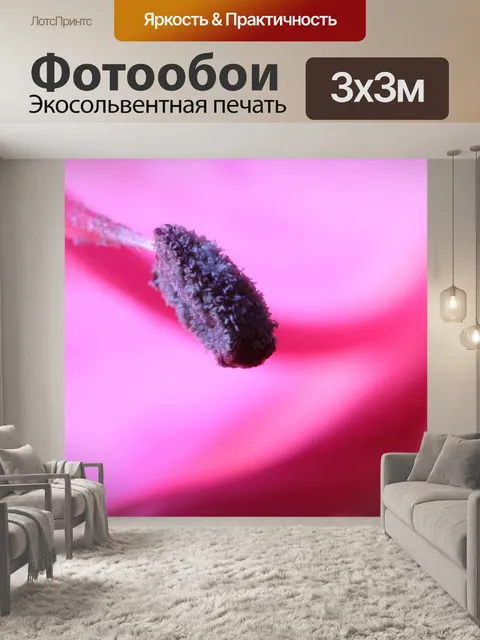 Фотообои Тычинка