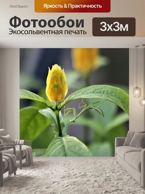 Фотообои Перевёрнутый богомол