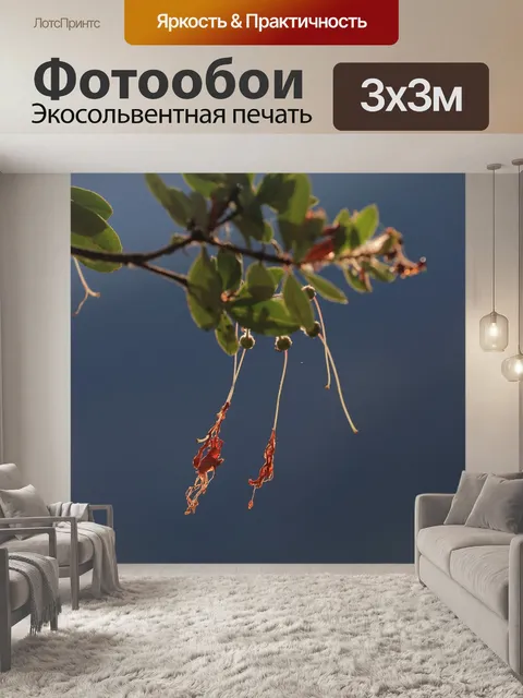 Фотообои Коралловые колокольчики
