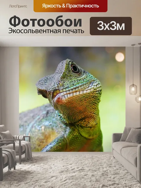 Фотообои Китайские воды дракон