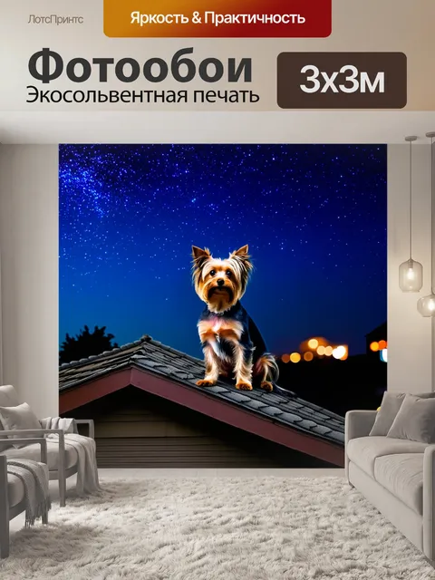 Фотообои йоркширский терьер, сидящий на крыше дома, глядит на ночное небо с мерцающими звездами