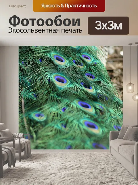 Фотообои Павлин