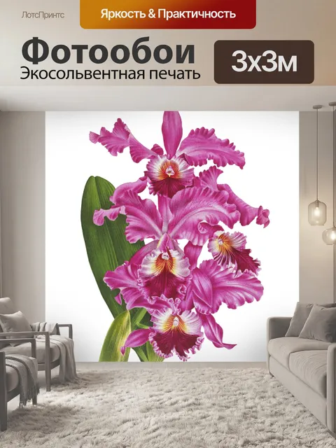 Фотообои Винтажное цветочное искусство орхидеи