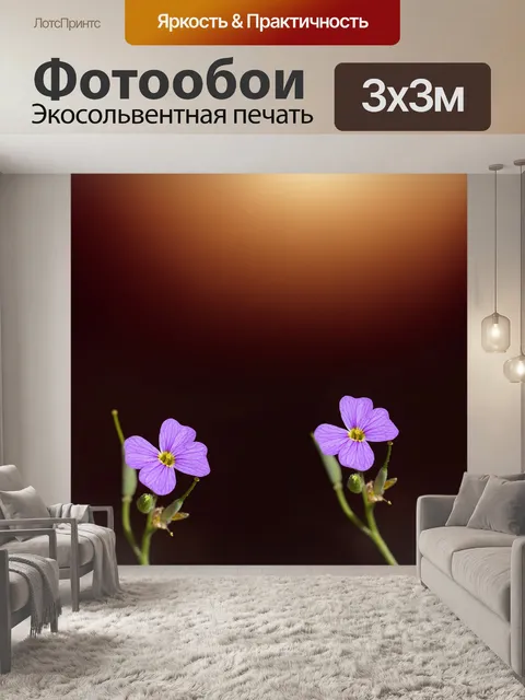 Фотообои Цветок