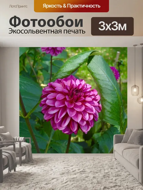 Фотообои Цветок