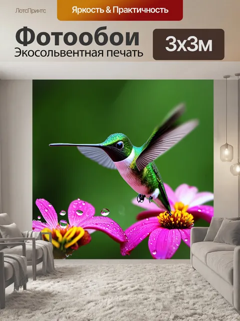 Фотообои зеленый колибри, исследующий капли росы на нежных лепестках цвета, напоминание о весеннем пробуждении