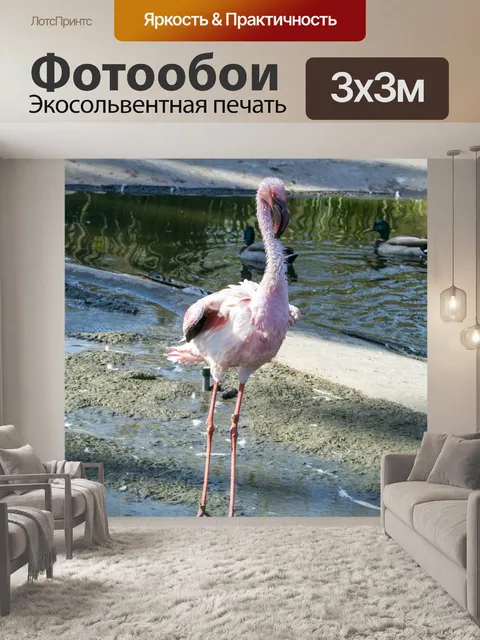 Фотообои розовый фламинго