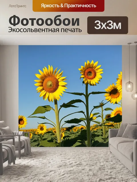Фотообои ослепительно желтые подсолнухи, растущие в поле под открытым небом, в сочетании с легким ветром