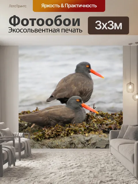 Фотообои Птицы