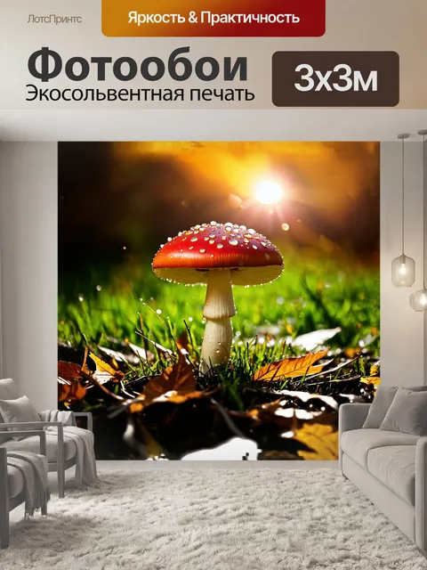 Фотообои мухомор красный, сверкающий каплями росы на своей ярко-красной шапке, возвышается над мягкой зеленой травой…