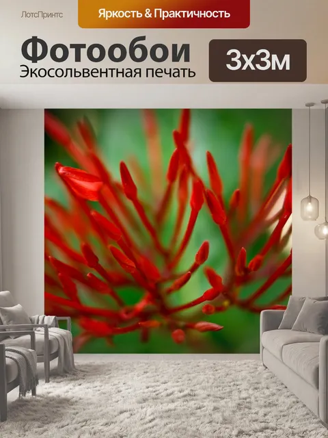 Фотообои Цветы